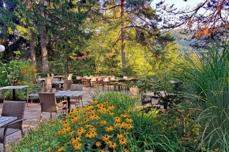 Ribno Alpine Resort - 5