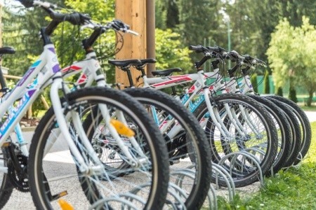 Ribno Alpine Resort - 8