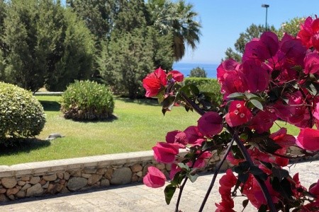 Baia Delle Ginestre (Teulada) - 4