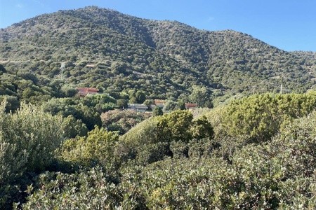 Baia Delle Ginestre (Teulada) - 17