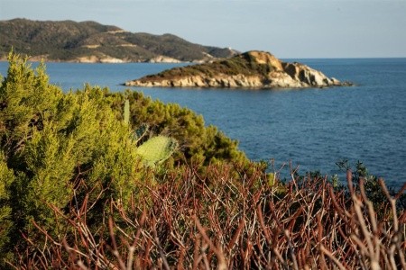 Baia Delle Ginestre (Teulada) - 19