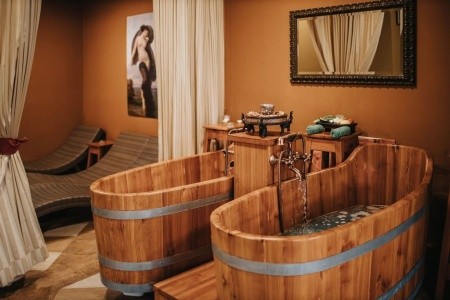 Česká republika Južné Čechy Růže 3 dňový pobyt Raňajky Vlastná January 2026 ( 7/01/26- 9/01/26)