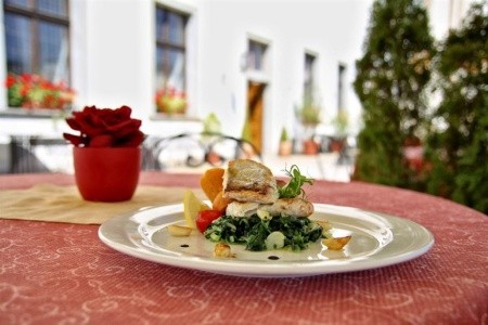 Česká republika Južné Čechy Růže 3 dňový pobyt Raňajky Vlastná January 2026 ( 7/01/26- 9/01/26)