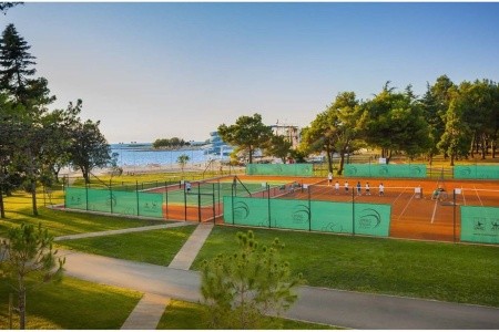 Apartments Katoro Plava Laguna - 19