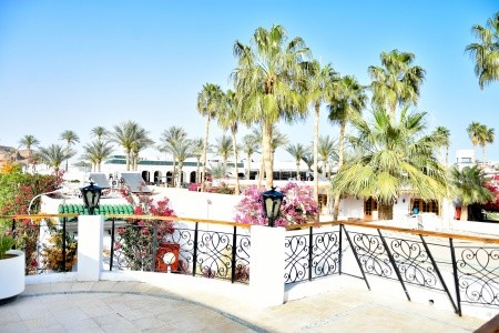 Seti Sharm Palm Beach - 43