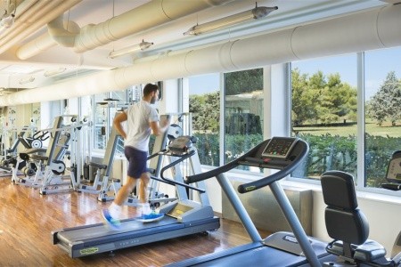 Aminess Maestral - 29