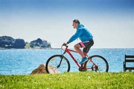 Aminess Maestral - 33