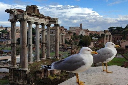 Řím a Neapolský záliv - To nejlepší z Itálie – Benátky, Řím, Vatikán, Pompeje, Vesuv a Dolomity - 10