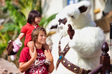 Španielsko Mallorca Sol Katmandu Park & Resort 11 dňový pobyt All Inclusive Letecky Letisko: Praha August 2025 (27/08/25- 6/09/25)