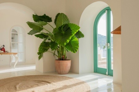 Park Hotel Miramare Sea Resort & Spa - 37