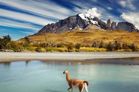 Jižní Amerika: Argentinská a Chilská Patagonie s průvodcem