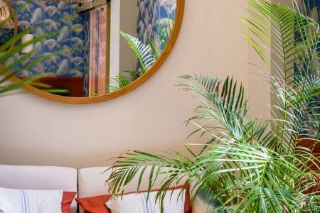 Španielsko Costa Del Sol Soho Boutique Urban 4 dňový pobyt Bez stravy Letecky Letisko: Viedeň July 2026 (28/07/26-31/07/26)