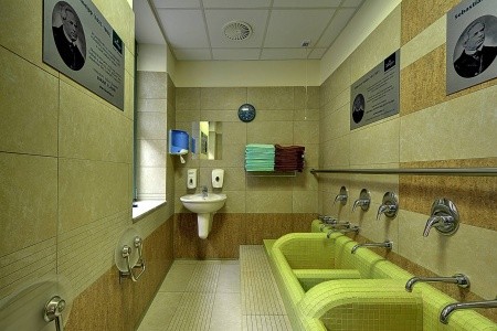 St. Joseph Royal Regent - 27