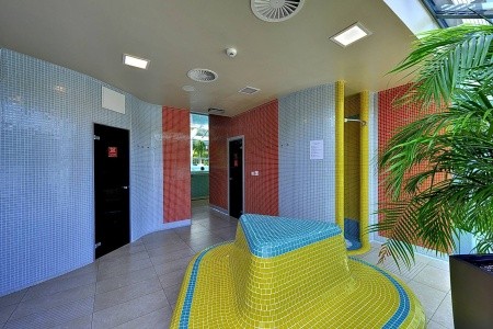 St. Joseph Royal Regent - 23