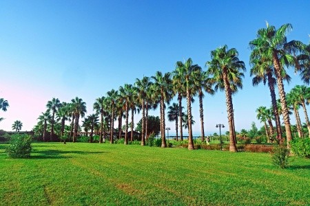 Royal Atlantis Beach - 11