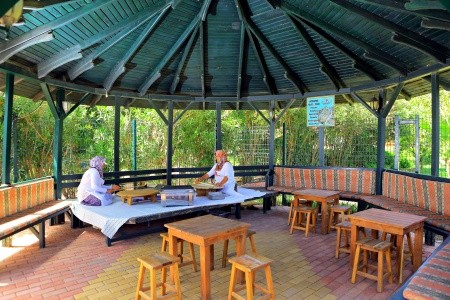 Caretta Relax (Ex. Xeno Relax) - 17