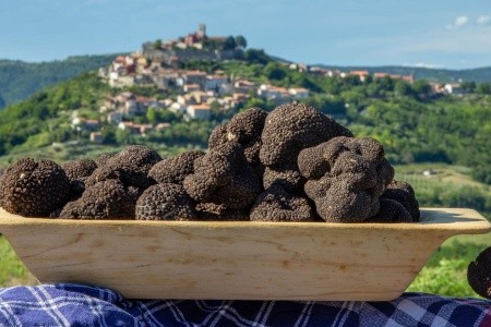 Szarvasgomba fesztivál és kóstoló az Isztrián