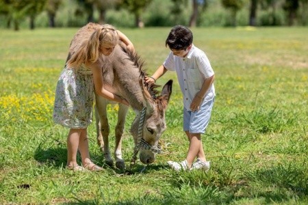 Grecotel Lux Me Costa Botanica (Ex. Gelina Village) - 13
