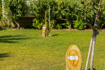 Labranda Lebedos Princess - 92