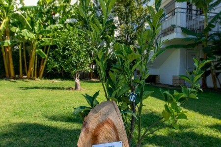 Labranda Lebedos Princess - 94