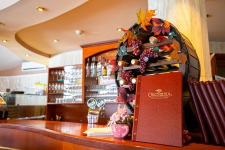 Orchidea