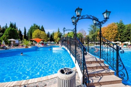 Hrizantema - fotka 6