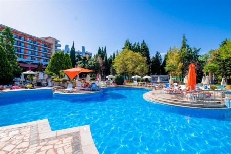 Hrizantema - fotka 7