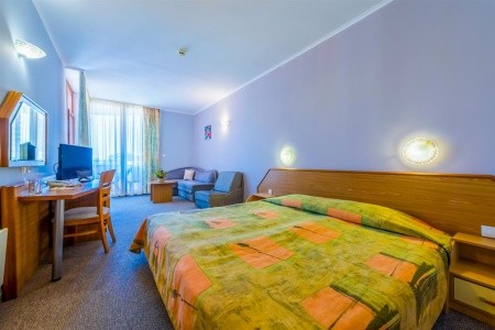 Hrizantema - fotka 11