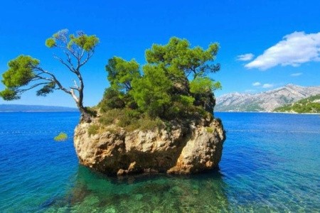 Bluesun Hotel Marina - 2