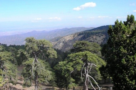 Kypr - ostrov dvou tváří - 71