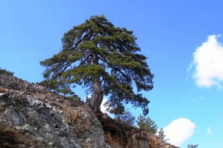 Kypr - ostrov dvou tváří - 72