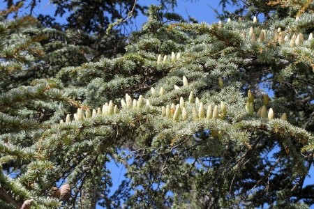 Kypr - ostrov dvou tváří - 91