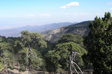 Kypr - ostrov dvou tváří - 95