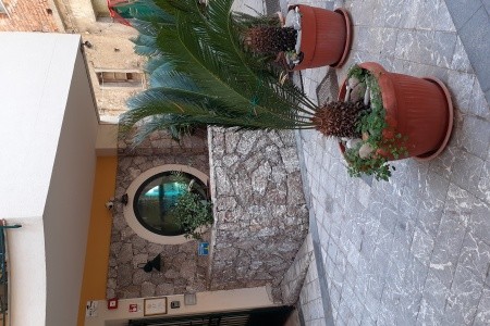 Le Tartarughe Residence - 5