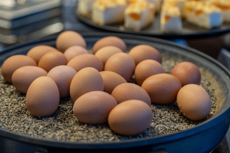 Best Western Plus Plaza Berlin Kurfürstendamm - 41