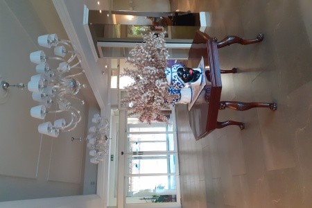 Caparena & Wellness Club - 14