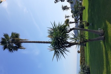 Caparena & Wellness Club - 17