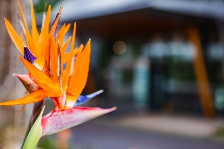 Vidamar Resorts Madeira - 24