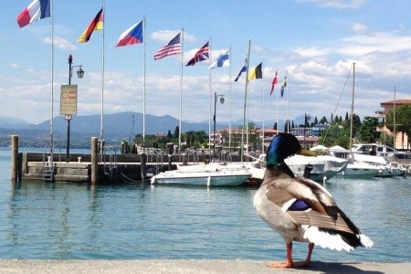 Benátky a krásy severní Itálie - 17