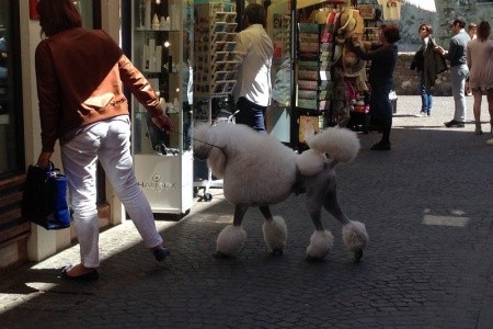 Benátky a krásy severní Itálie - 46