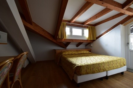 Stella Alpina (Bellamonte) - 6