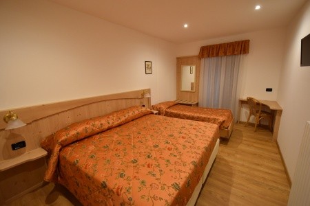 Stella Alpina (Bellamonte) - 7