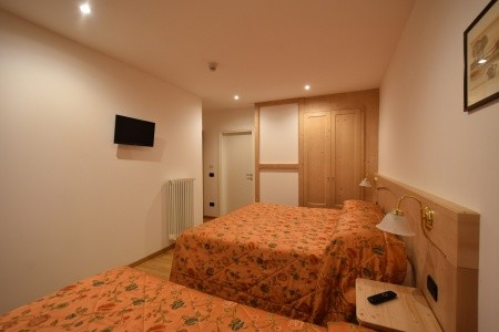 Stella Alpina (Bellamonte) - 8