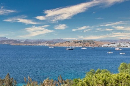 Senses Hotel (Ex. Design Plus Senses) - 105