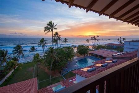 Citrus Hikkaduwa - 2