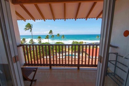 Citrus Hikkaduwa - 3