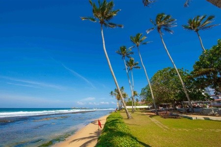 Citrus Hikkaduwa - 9