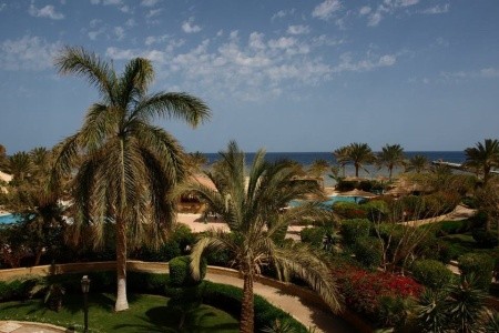 Flamenco Beach & Resort - 11