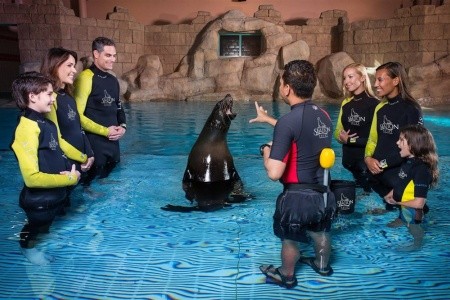 Hotel Atlantis The Palm