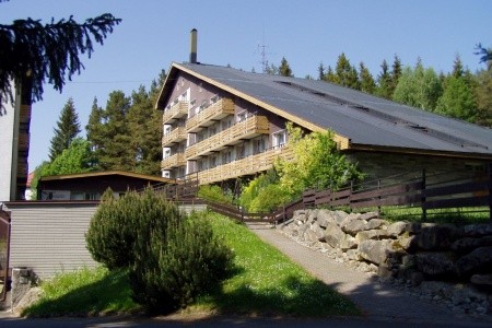 Srní - 16